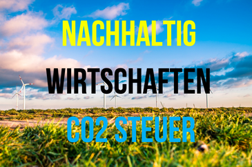 Nachhaltig Wirtschaften CO2 Steuer, Investor Schule