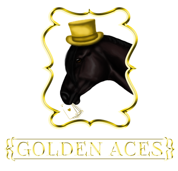 goldenacess Webseite!