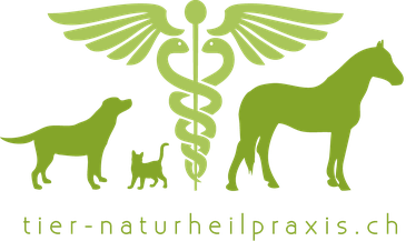 Tier-Naturheilpraxis.ch