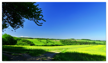 Auf dem Steinberg ins Tal blickend / Quelle: Bürgerverein