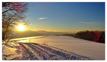 Auf dem Steinberg ins Tal blickend / Quelle: Bürgerverein