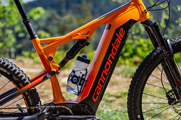 Cannondale Cujo NEO 2