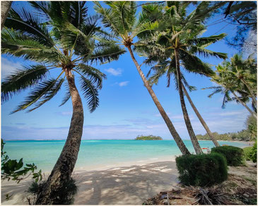 Rarotonga, Cook Islands, Muri Beach, Südsee, Südseestrand, Palmenstrand, Cookinseln