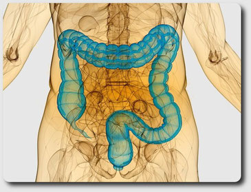Гидроколонотерапия - это глубокое очищение толстого кишечника 