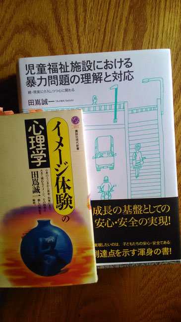 児童福祉施設における暴力問題の理解と対応 : 続・現実に介入しつつ心に関わる 児童福祉施設における暴力問題の理解と対応 続・現実に介入し