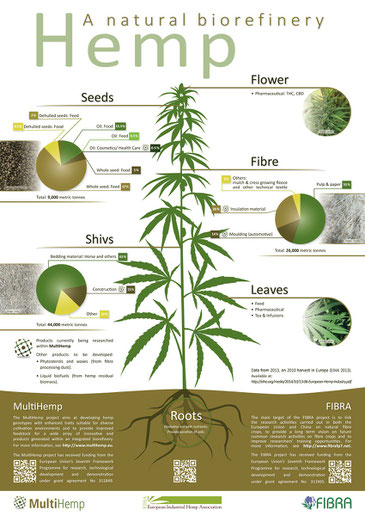 Hemp has countless use cases. Click to show large image. Source: www.multihemp.eu