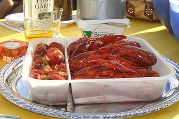 Traditionelles "Kreftshiving" (Krebsessen) in Schweden