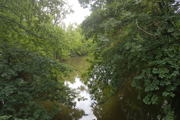 Dicht bewachsene Nidda