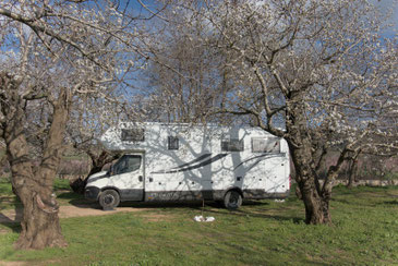 Vagabund, Ifrane