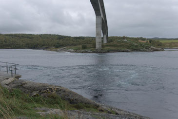 Saltstraumen