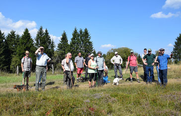 Hochsauerland-Soest auf der heißen Heide