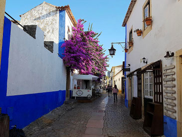 Gasse in Óbidos mit dekorativer Bougainvillea ©My own Travel