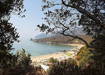 Blick durch die Bäume auf die Bucht mit Strandstrand und Küste an der Serra da Arrábida ©My own Travel