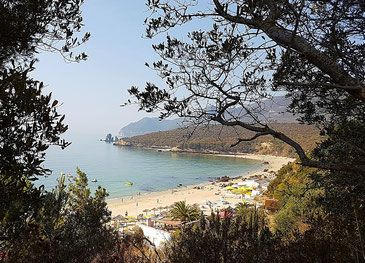 Blick durch die Bäume auf die Bucht mit Strandstrand und Küste an der Serra da Arrábida ©My own Travel