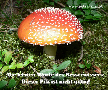 gemischte Wildkräuter für grüne Suppen