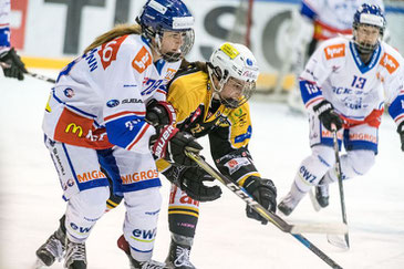 Bild: sihf.ch