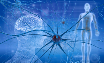 Formation neuro cellulaire, knésiologie, somatic experiencing, reprogrammation cellulaire, peggy Meunier Bordeaux