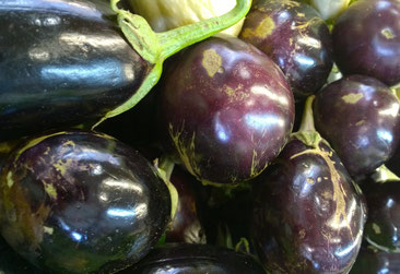 Aubergine,Berinjela,Eggplant,Gemüse,Legumes,Vegetables,Martins-Kulinarium,Carvoeiro,Algarve,Portugal