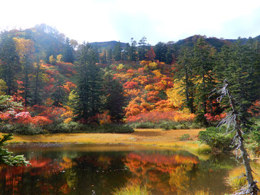 最高の紅葉とオーバーツーリズム