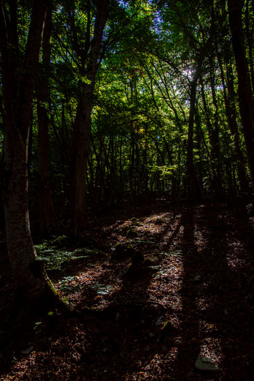 Parco Nazionale d'Abruzzo