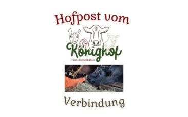 Bild Hofpost vom Könighof