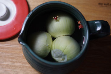 陶芸家　ブログ　土鍋作品　耐熱　直火　空焚き　デザインが素敵　スープ　玉ねぎ