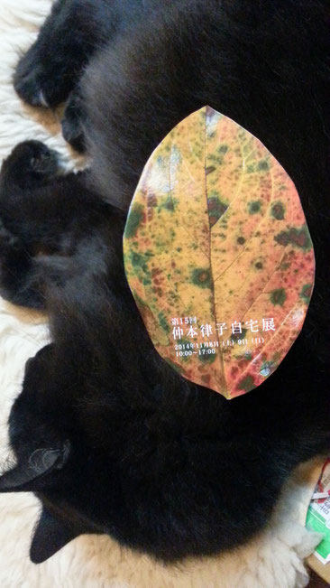 陶芸家 ブログ 焼き物 陶芸作品 茨城県笠間市 猫 ペット ペットの死 虹の橋 ペットロス
