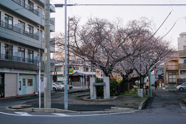 中井筋緑道、終焉の地