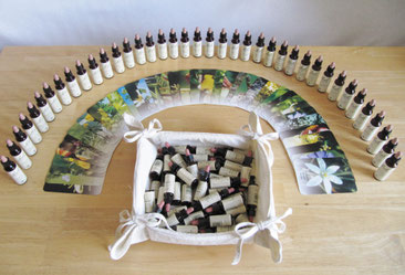 Bachblüten & Bachblütenkarten