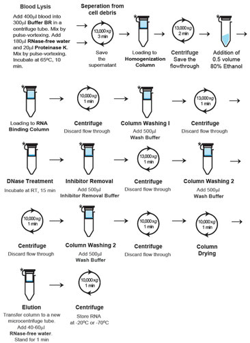 purification of RNA from blood, RNA aufreinigung aus blut 