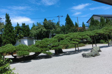念珠松庭園