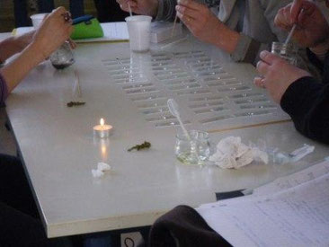 activités pratiques SVT collège 