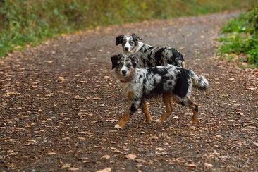 Kate und Libby am 26.10.13