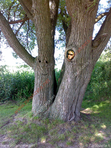 Zarah im Baum mit Smiley