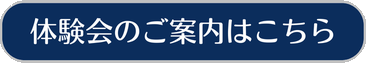 ボタン