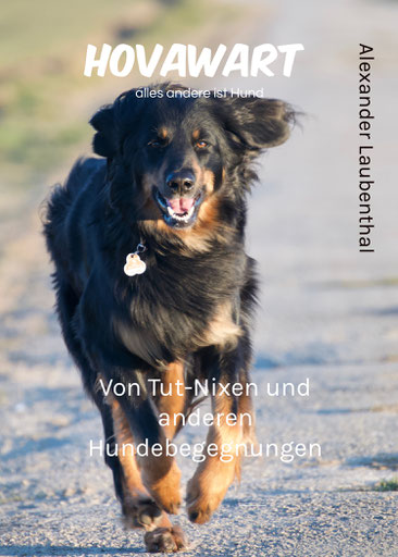 Hovawart Buch