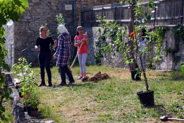 Zusammen einen Garten bewirtschaften - neue Freundschaften entstehen