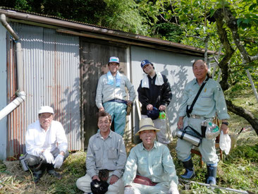 明日香稲淵の柿畑