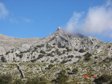 Puig Major