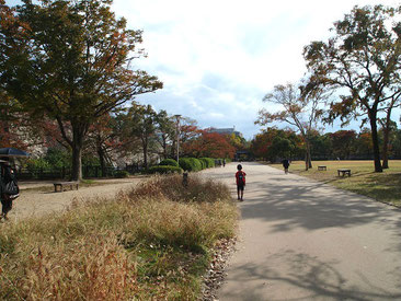 大阪城 西の丸庭園内