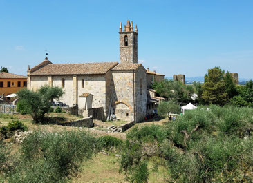 Kleine Kirche in Monteriggioni, umgeben von Olivenbäumen