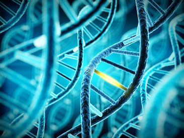 Redaktion, Text und Lektorat Simone Giesler - CRISPR / Cas