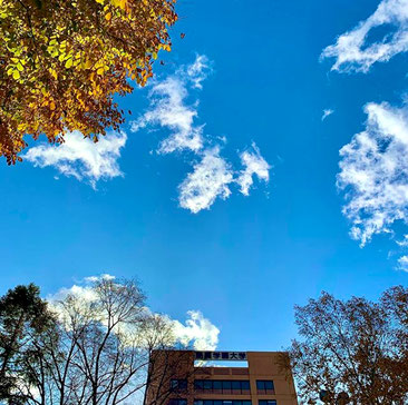 酪農学園大学さんInstagram画像より