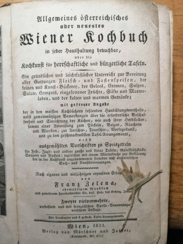 Genussbutler-Aktivsteirer-Wolfgangrieger-TravelButler-Weinbutler