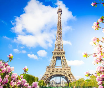 Tour Eiffel avec cerisiers en fleurs par une belle journée ensoleillée.