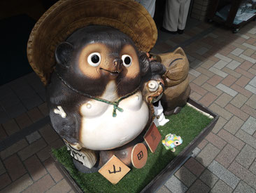 たぬき