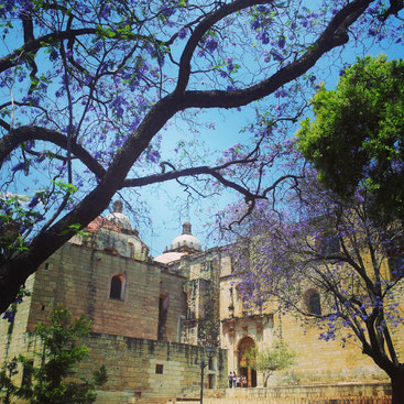 Beautiful streets in Oaxaca