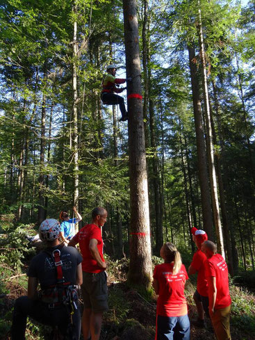 Grimper un arbre de 21 mètres... Ca vous dit? =)
