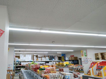 防カビ施工後の天井