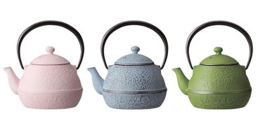 nanbu castiron color teapot